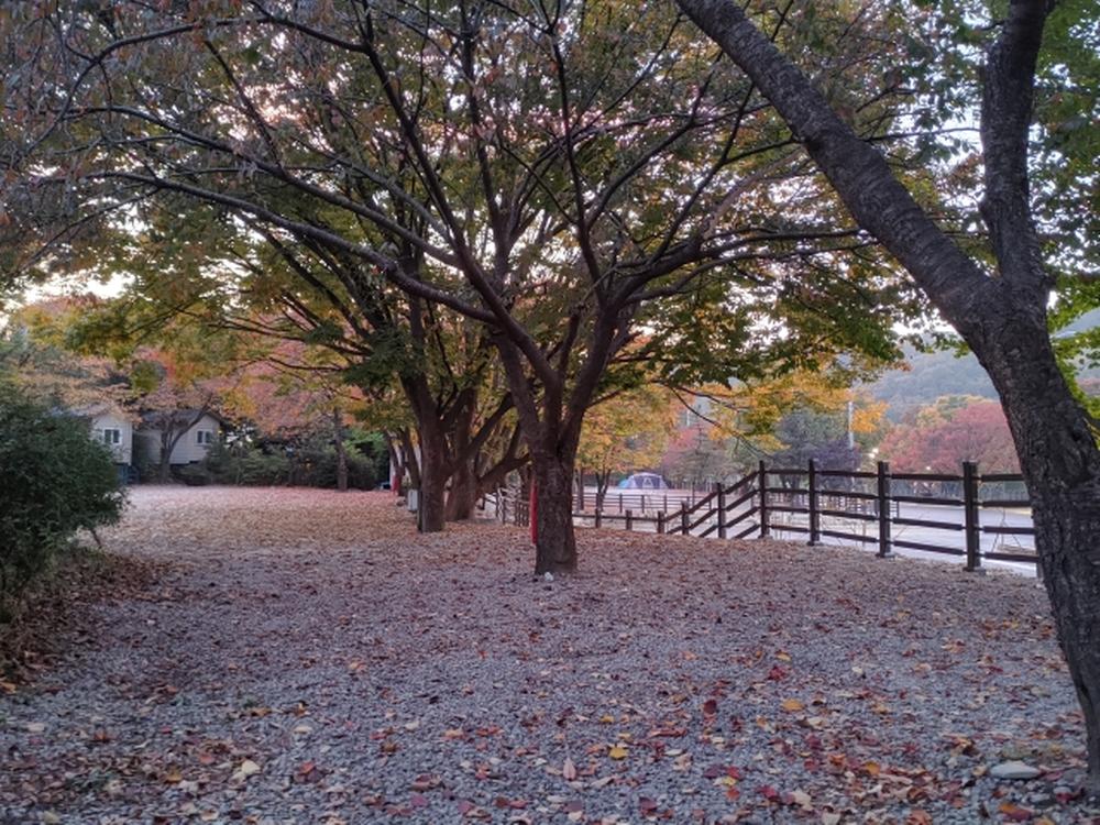 기산골캠핑장
