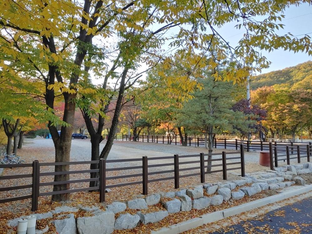 기산골캠핑장