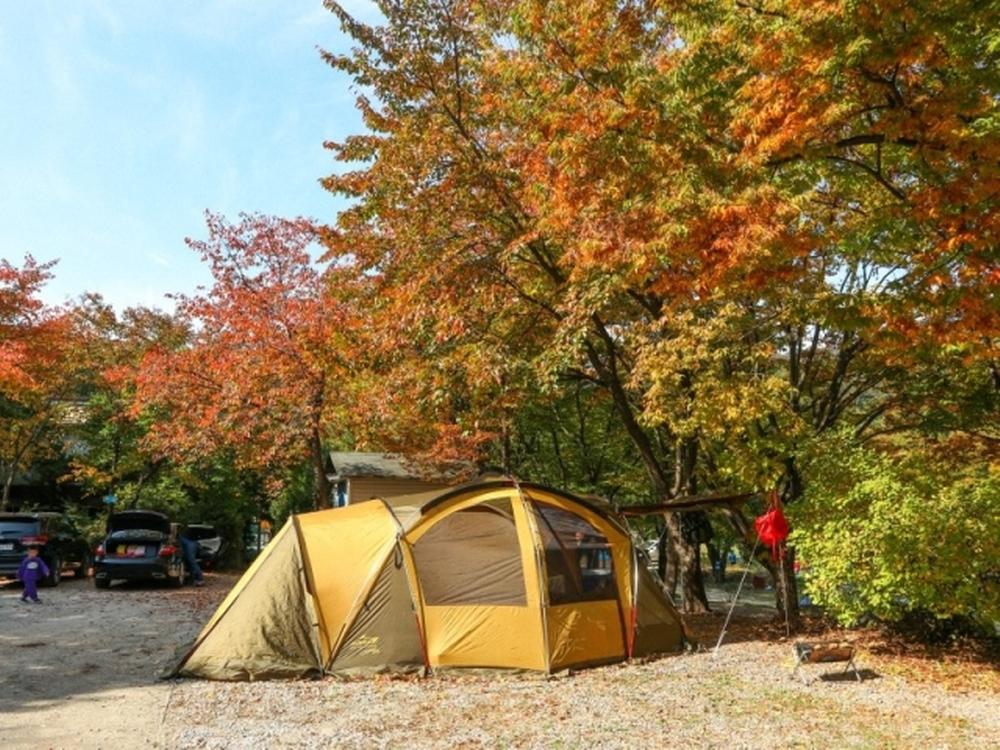 기산골캠핑장