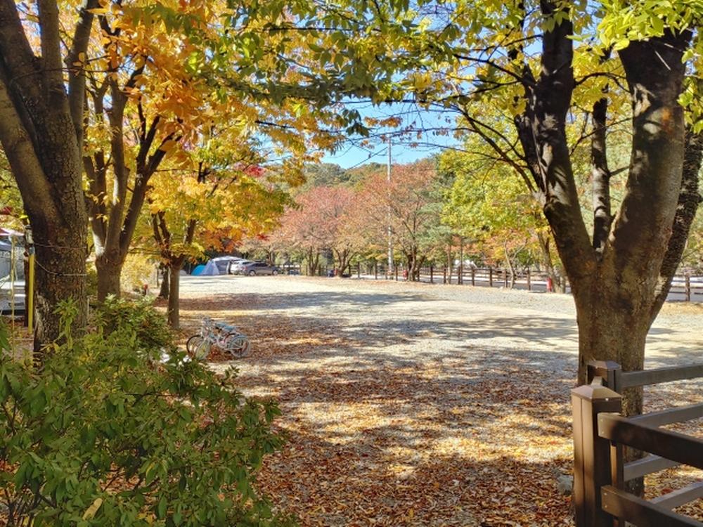 기산골캠핑장