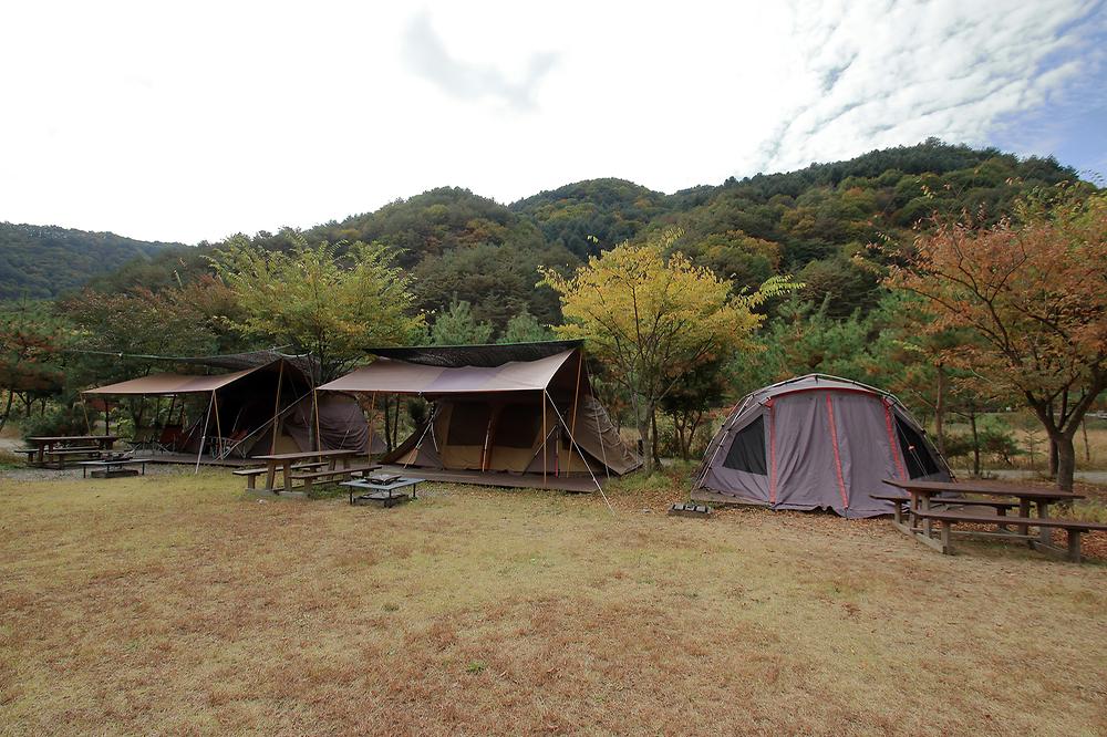 꿈엔들 캠프장