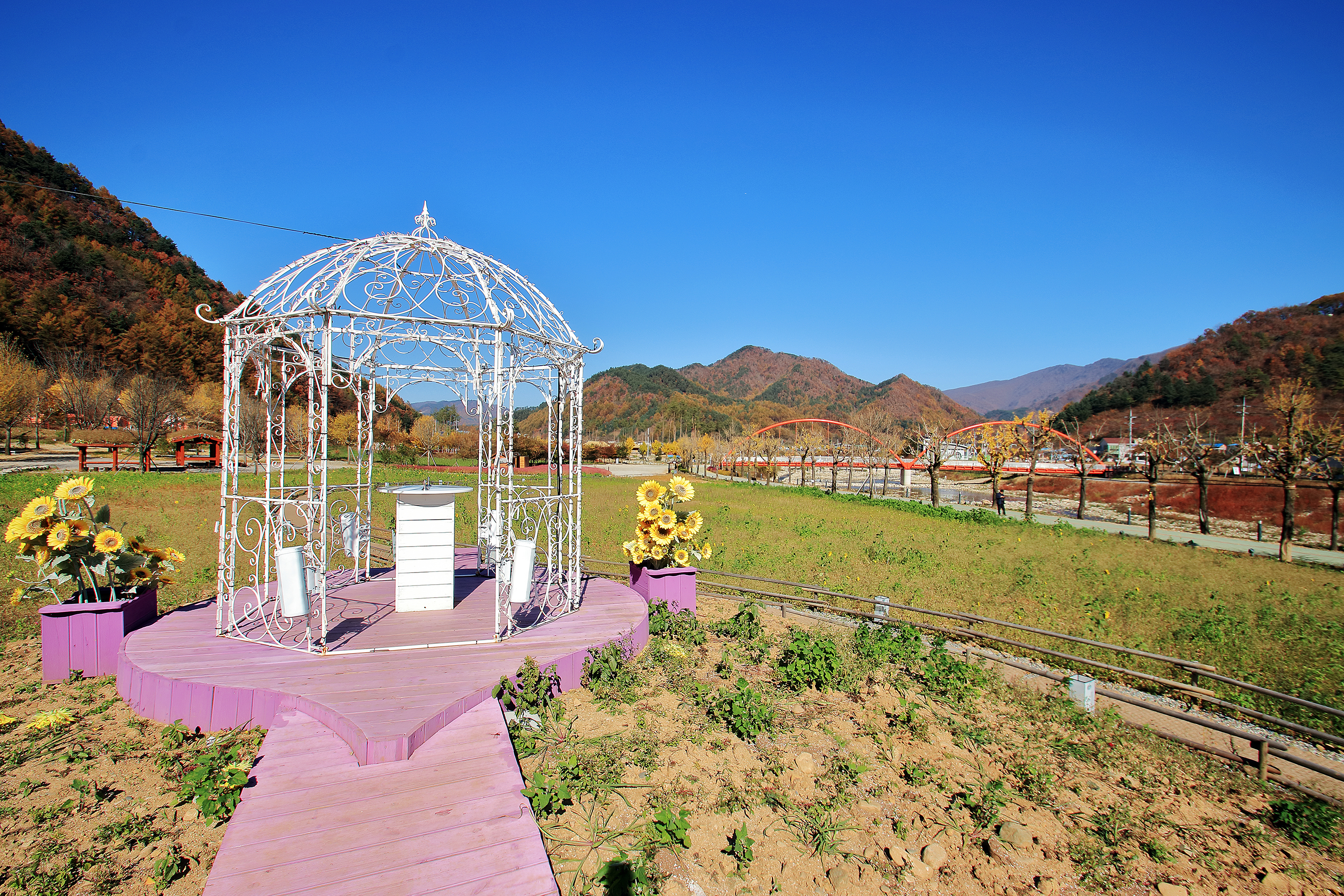 꿈의대화캠핑장