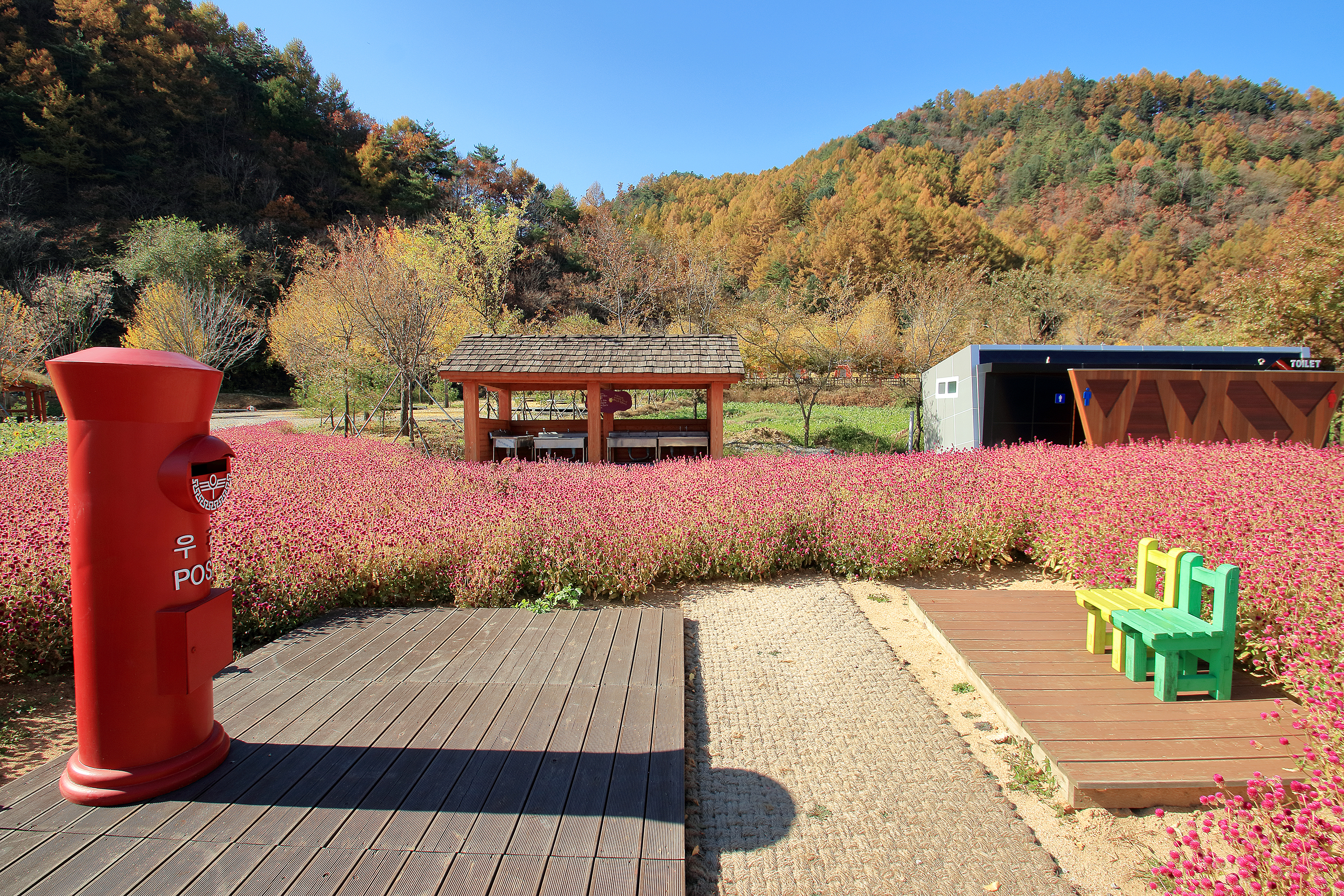 꿈의대화캠핑장