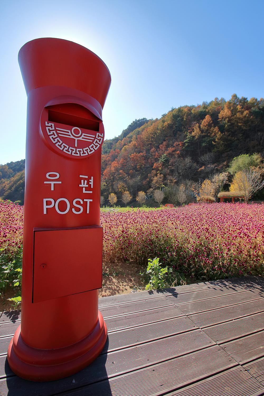 꿈의대화캠핑장