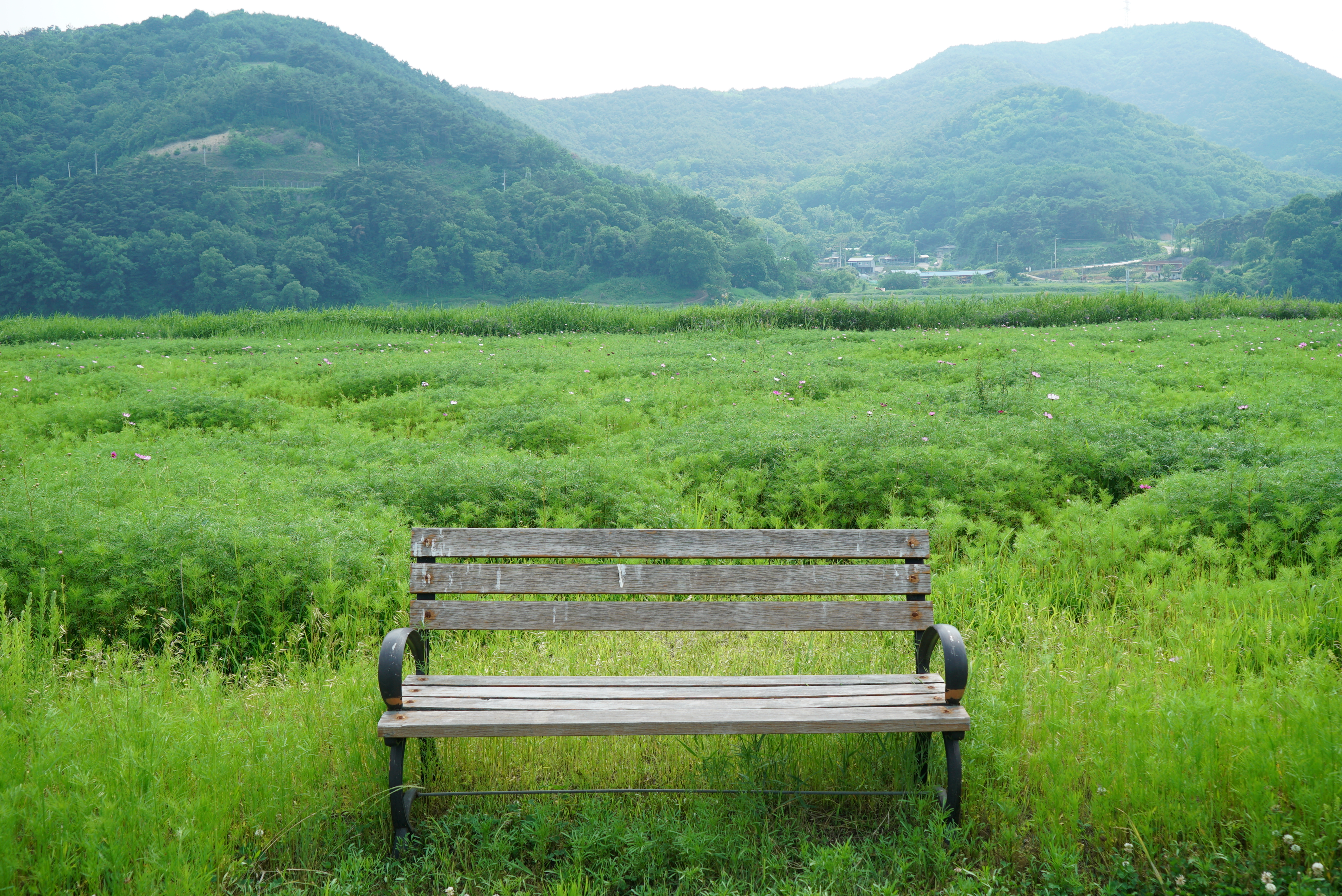 낙동강 레포츠밸리 강변오토캠핑장