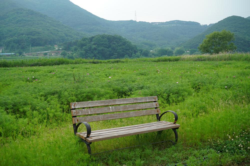 낙동강 레포츠밸리 강변오토캠핑장