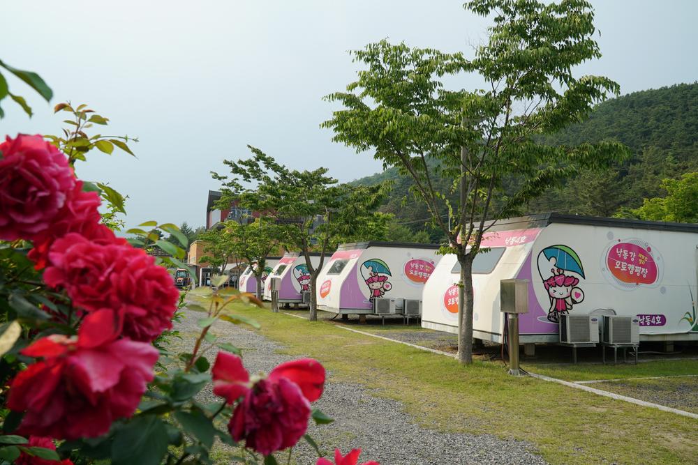 낙동강레포츠밸리 구지오토캠핑장