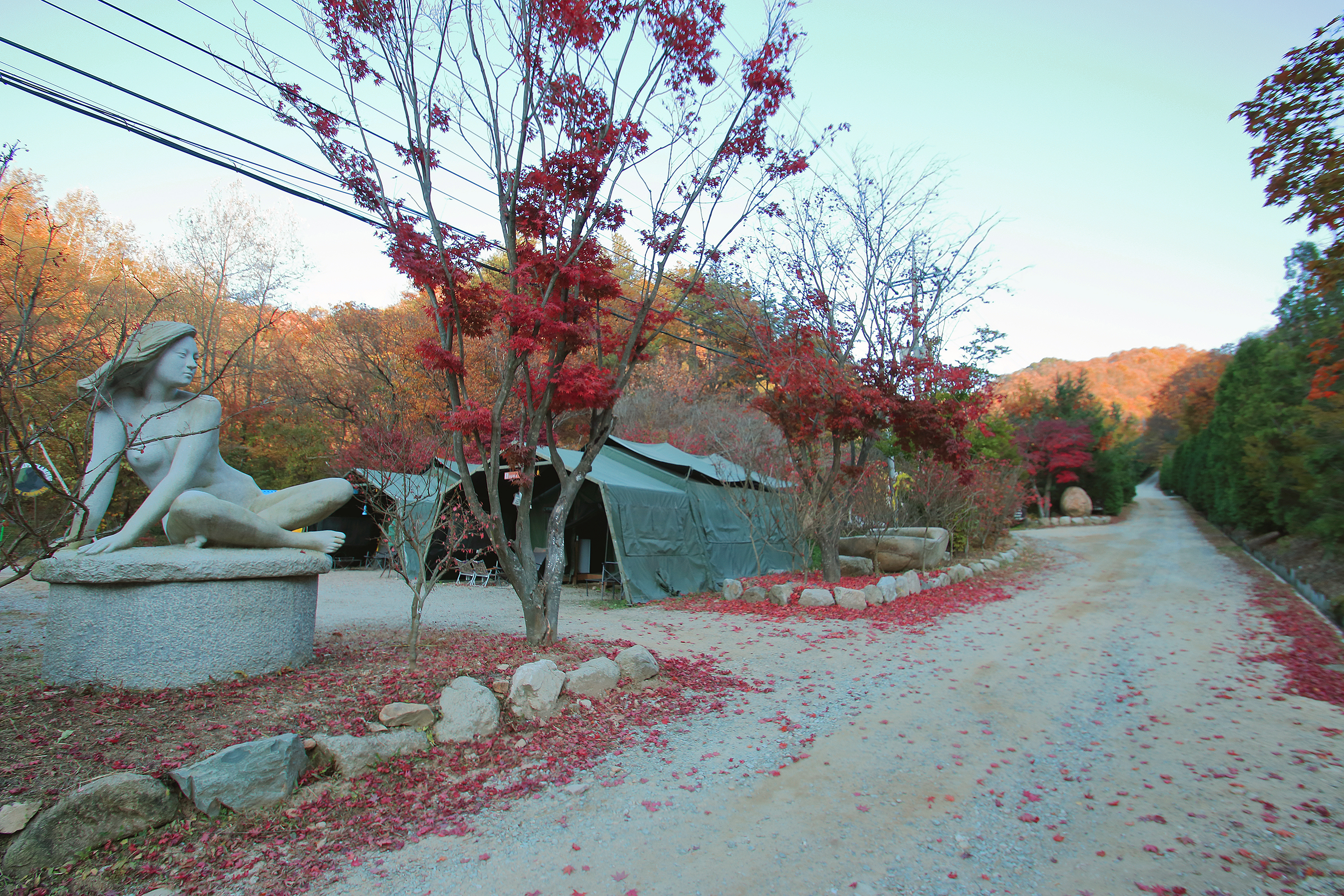 THATS CAMPING 횡성자연휴양림야영장