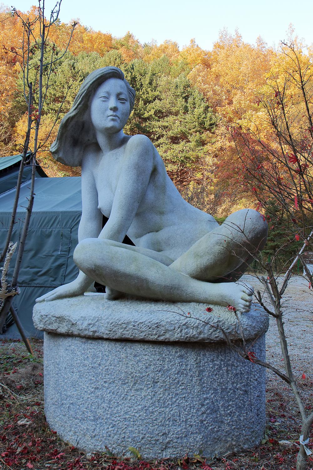 THATS CAMPING 횡성자연휴양림야영장