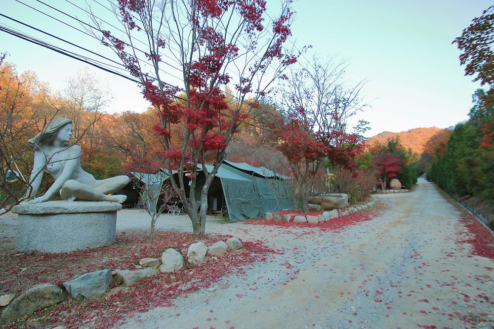 THATS CAMPING 횡성자연휴양림야영장