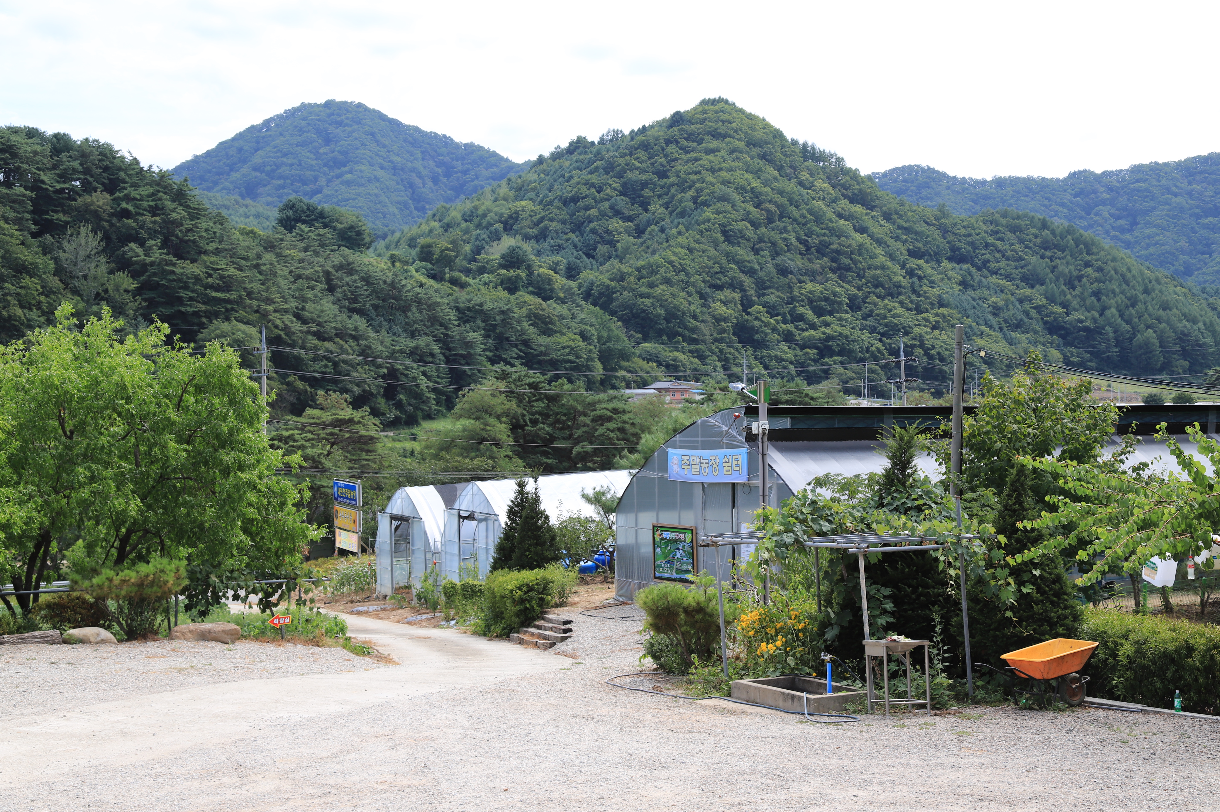 내린천 주말농장