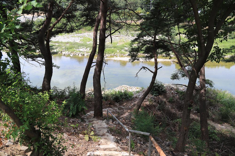 내린천솔밭힐링캠핑장