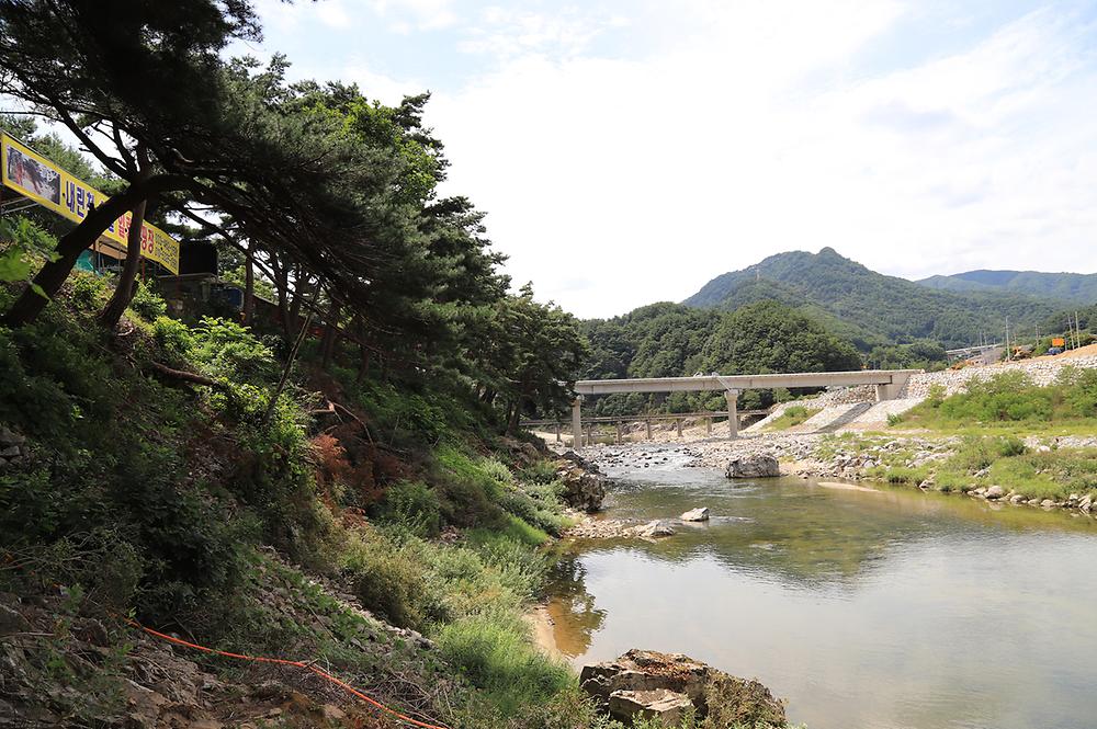내린천솔밭힐링캠핑장