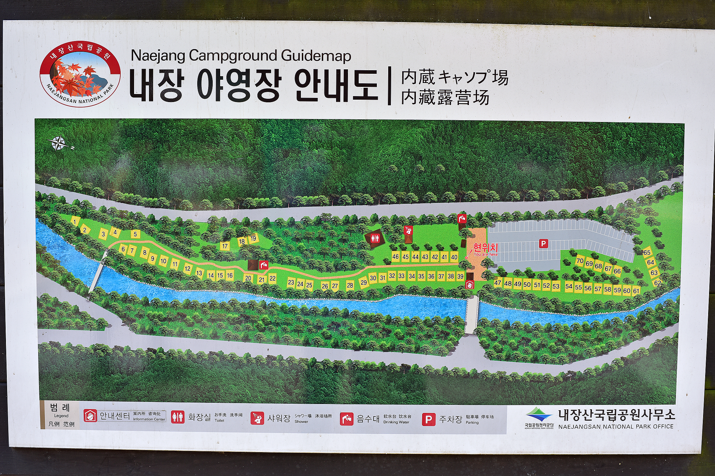 내장산국립공원 내장야영장