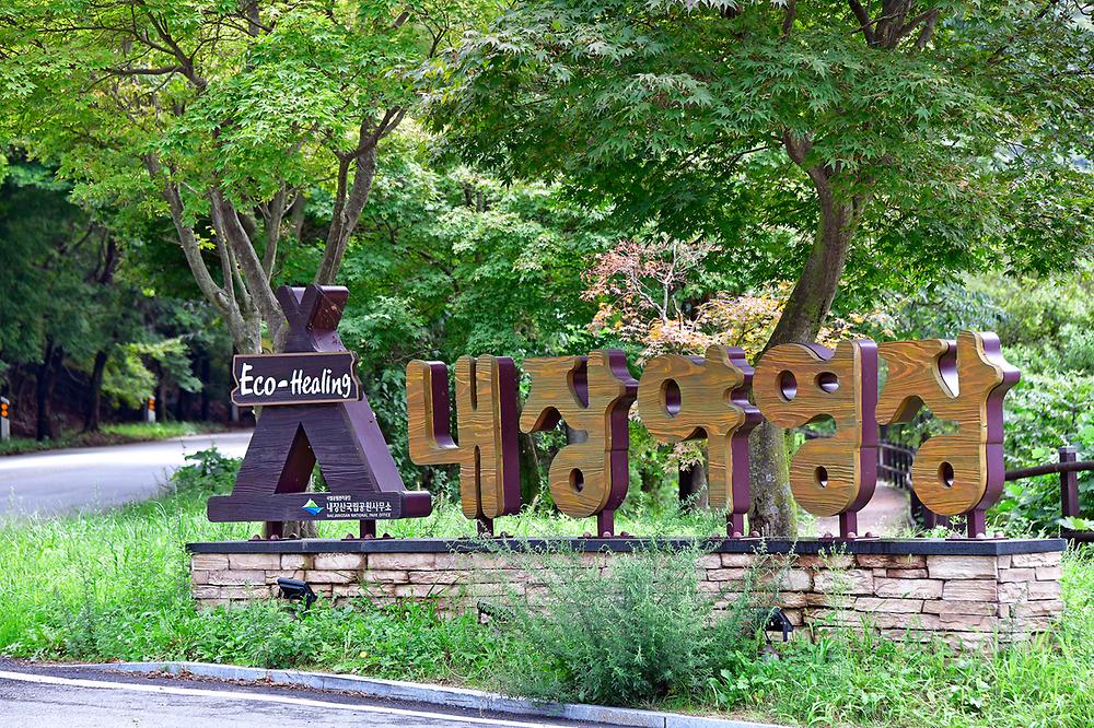 내장산국립공원 내장야영장