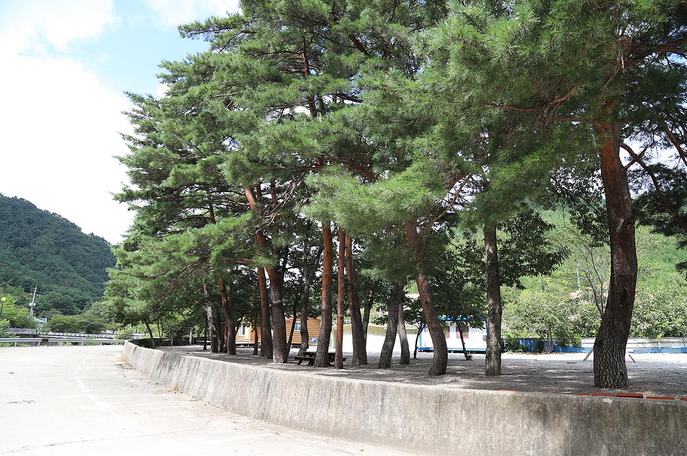 내평계곡캠핑장