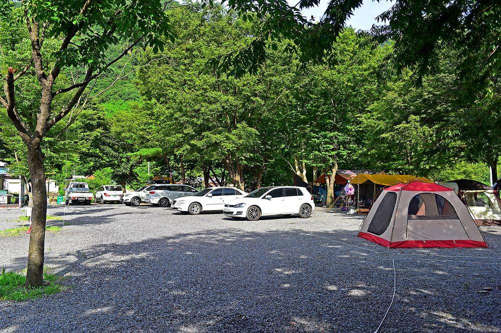VIP오토캠핑장