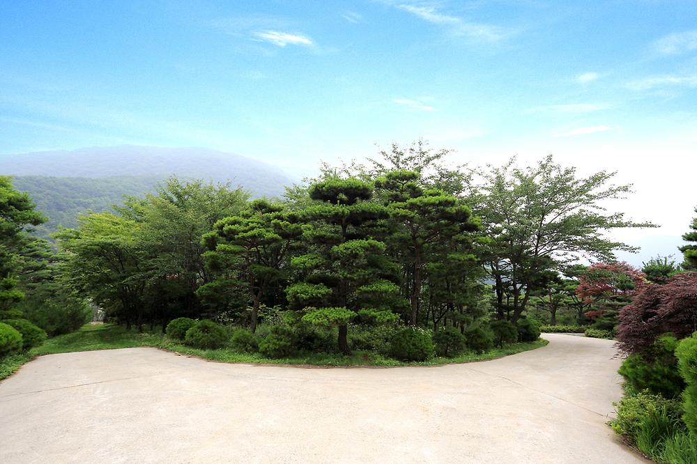 노꼬담꼬