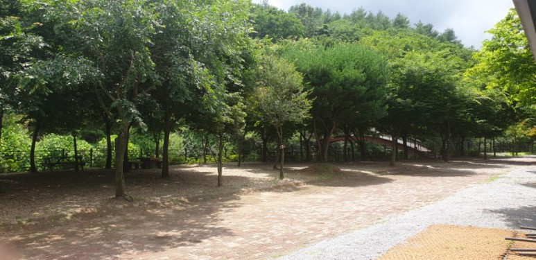녹색오토캠핑장