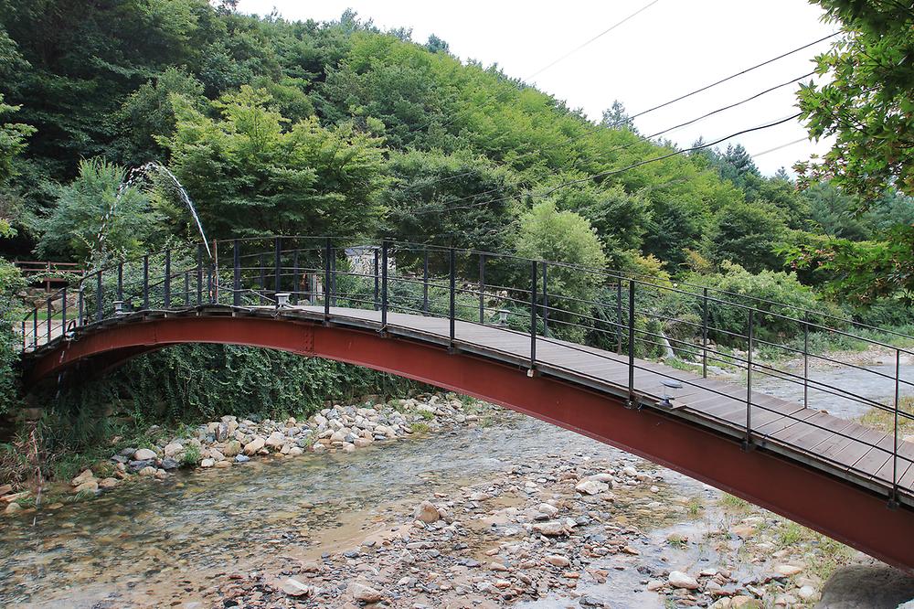 녹색 오토캠핑장