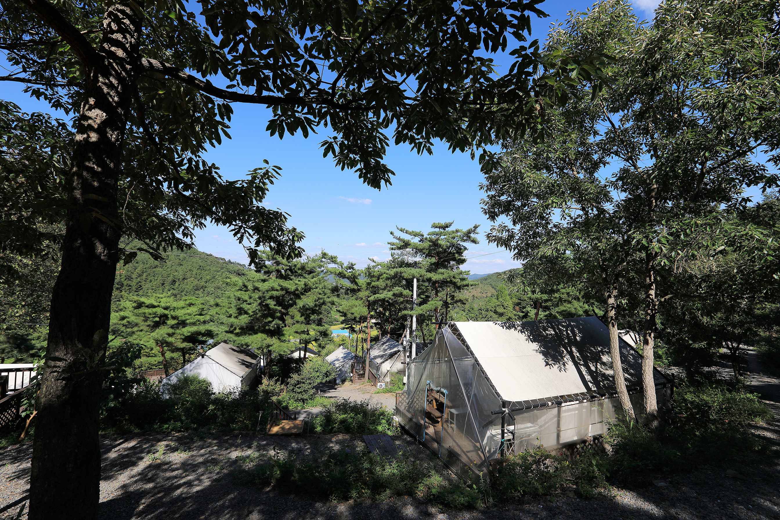 청양고운캠핑장