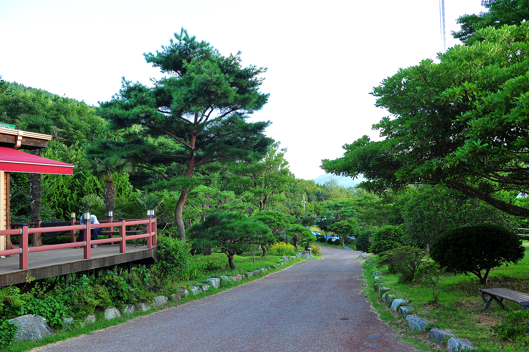 하늘빛수목원