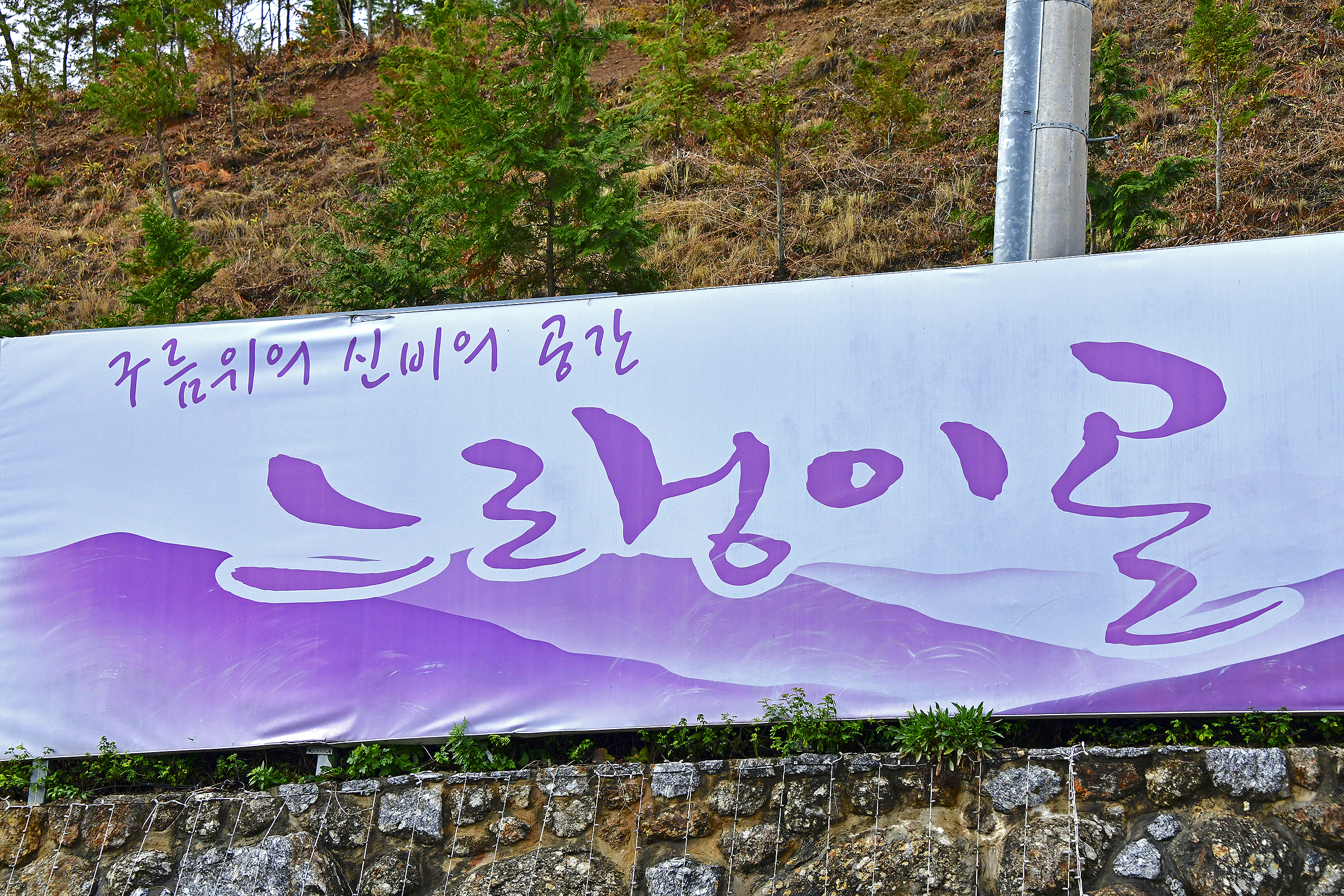 느랭이골 자연휴양림 일반야영장