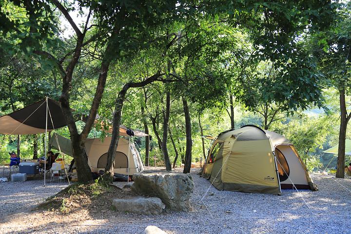 느티나무 캠핑장