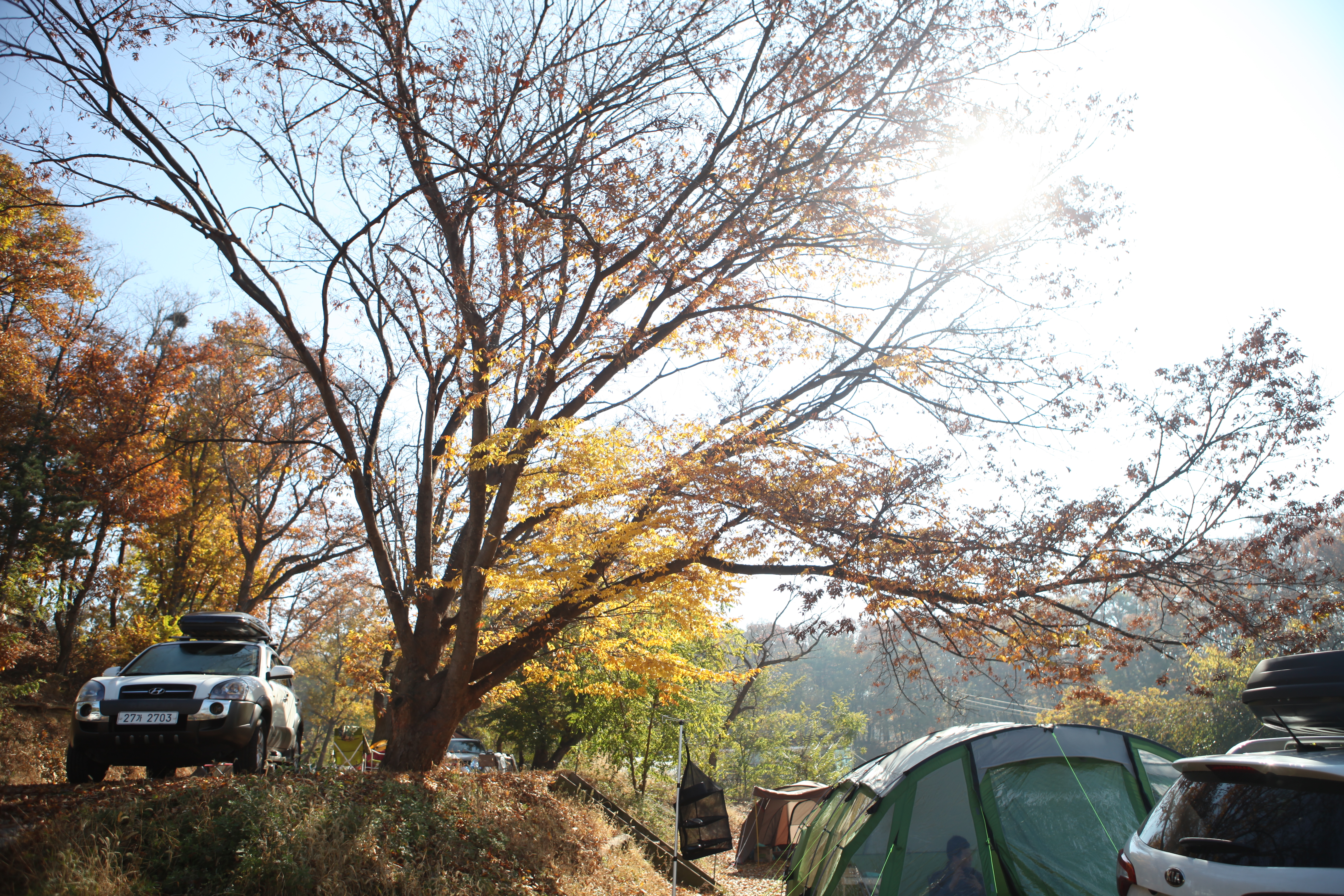 느티나무그늘아래 캠핑장