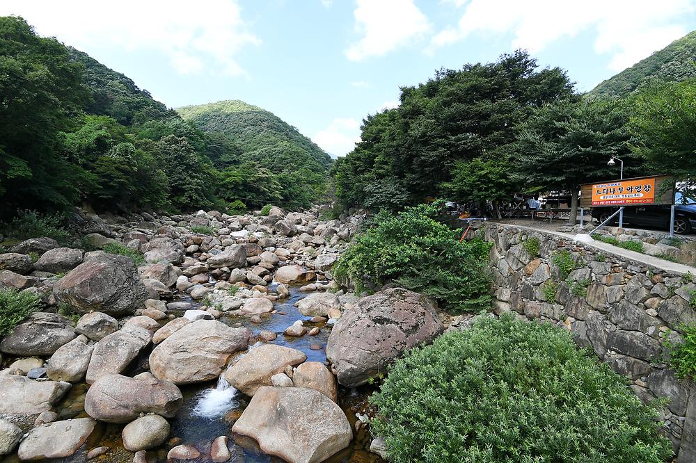 느티나무야영장
