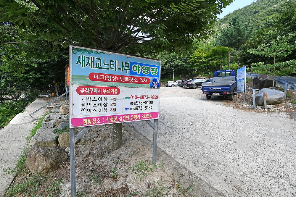 느티나무야영장