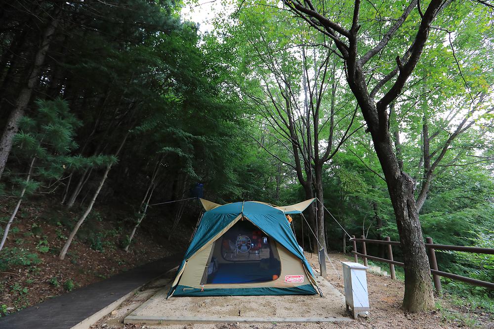 가야산국립공원 백운동야영장