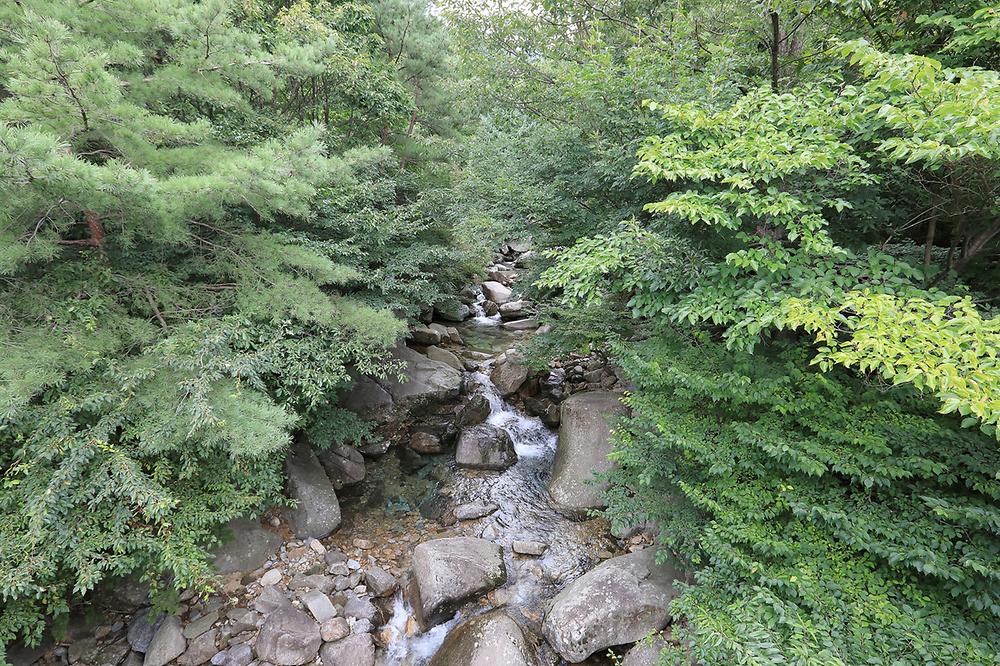 가야산국립공원 백운동야영장
