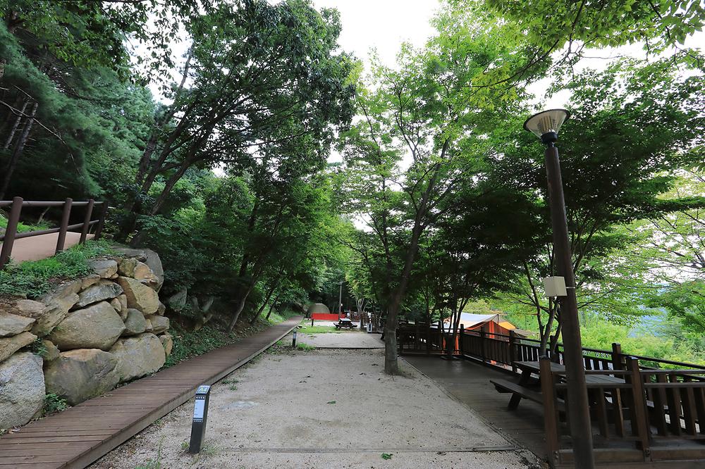 가야산국립공원 백운동야영장