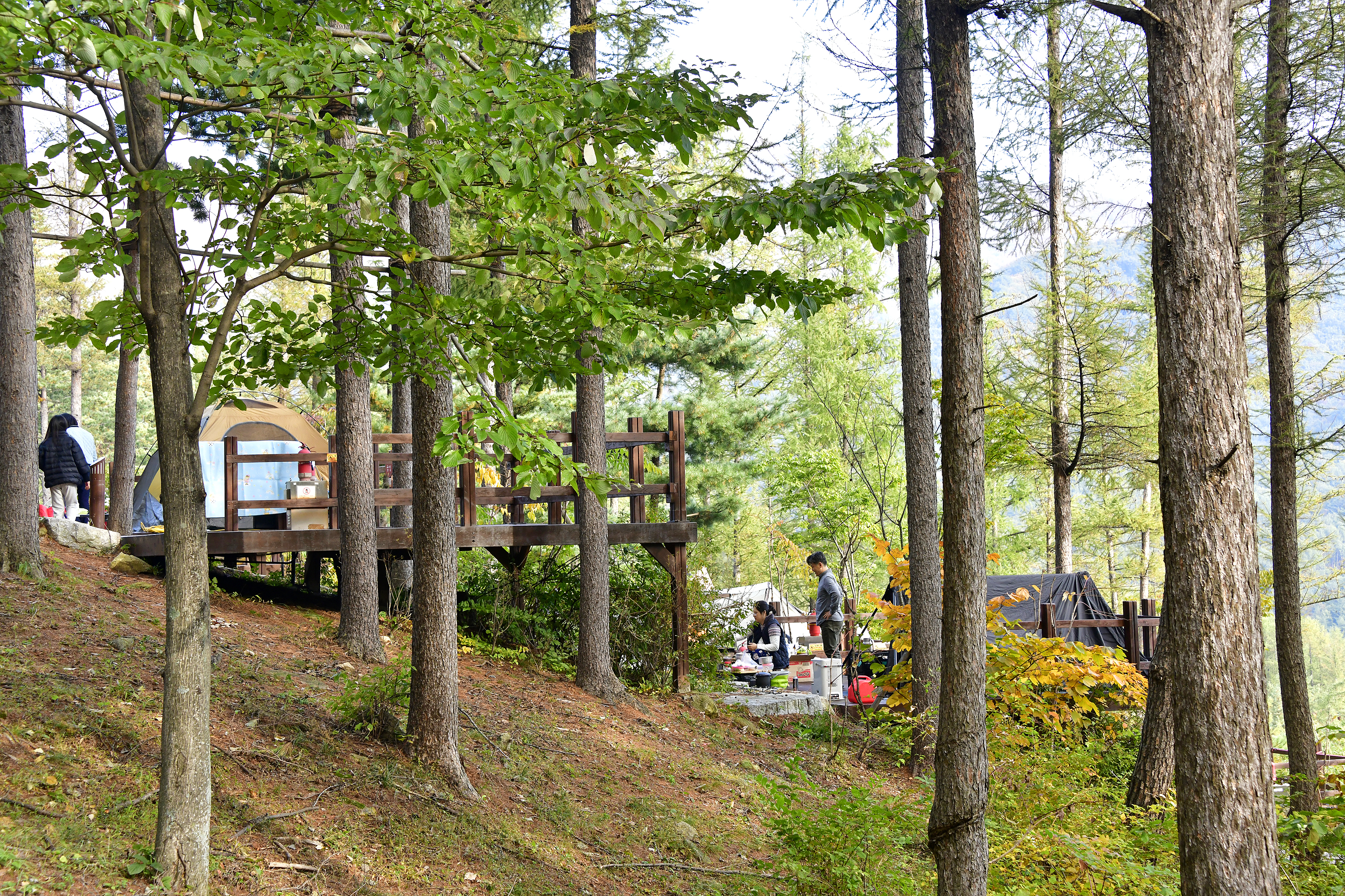 거창 국민여가캠핑장