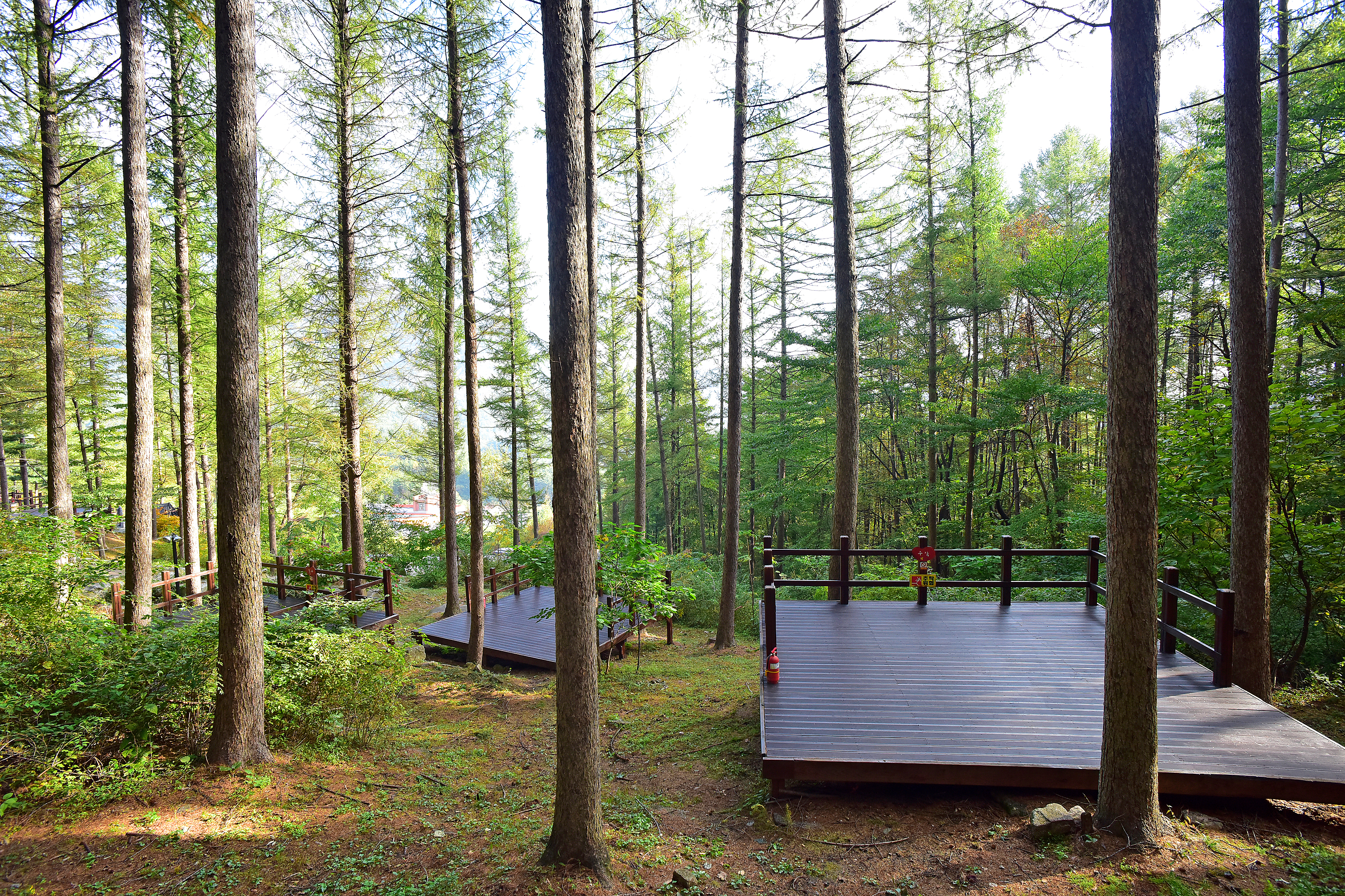 거창 국민여가캠핑장