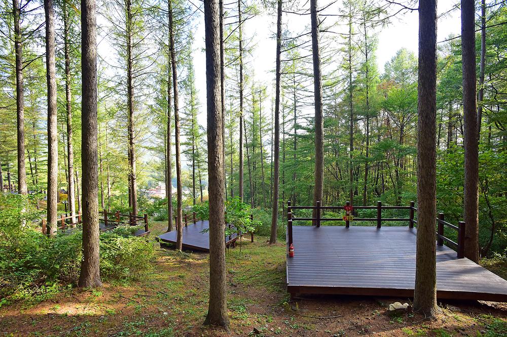 거창 국민여가캠핑장