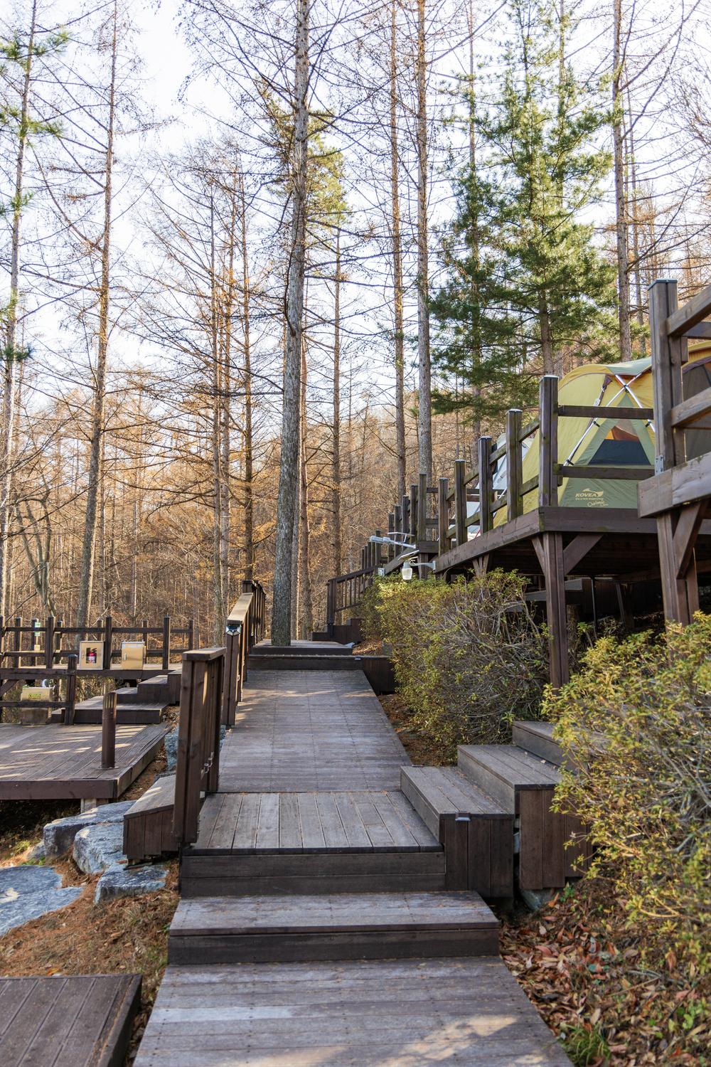 거창 국민여가캠핑장