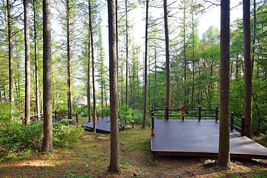 캠핑장소개 이미지