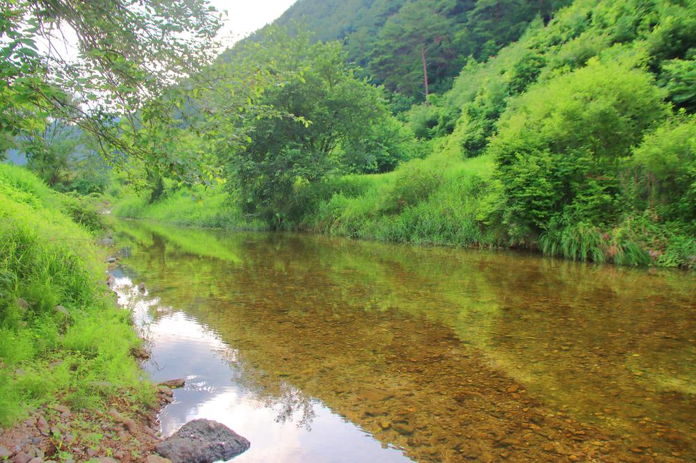 구학희망캠핑장