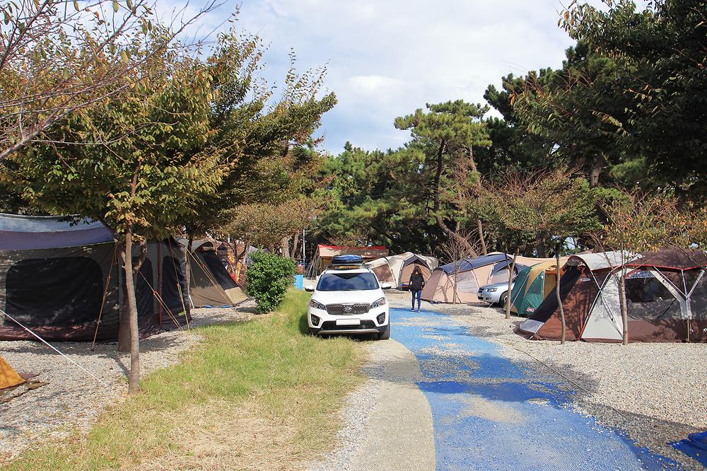 그린오토캠핑장