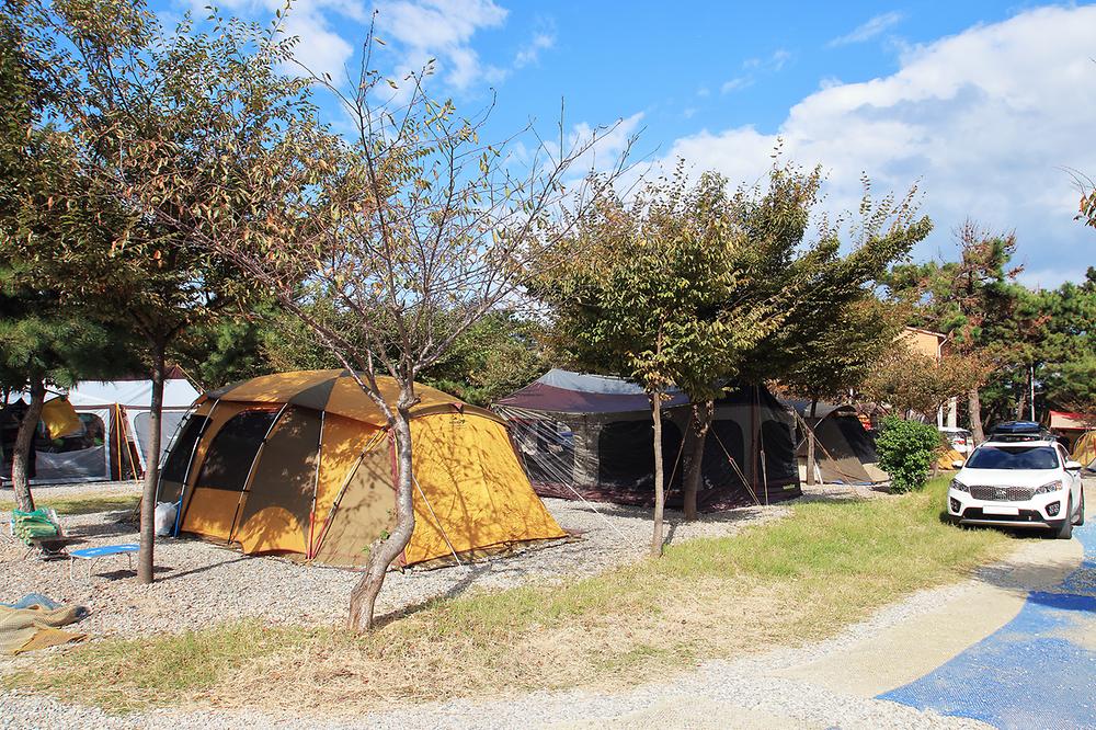 그린오토캠핑장