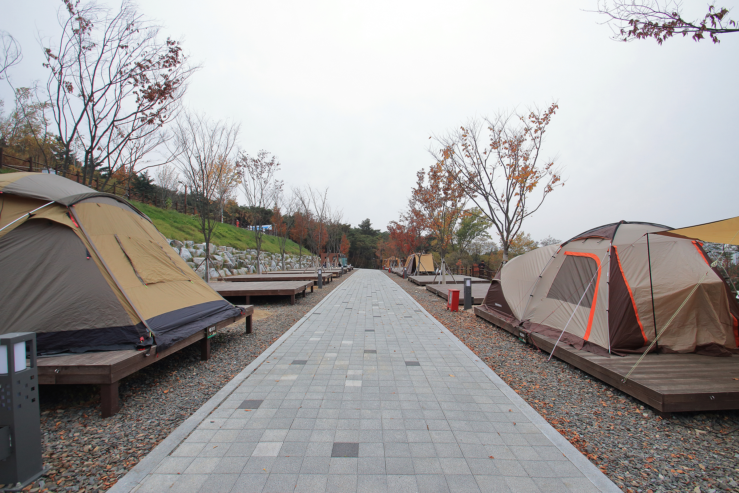 달서별빛캠프 캠핑장