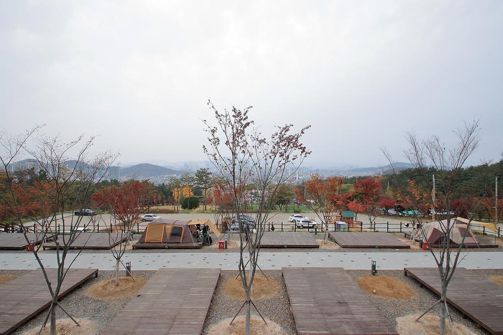 달서별빛캠프 캠핑장