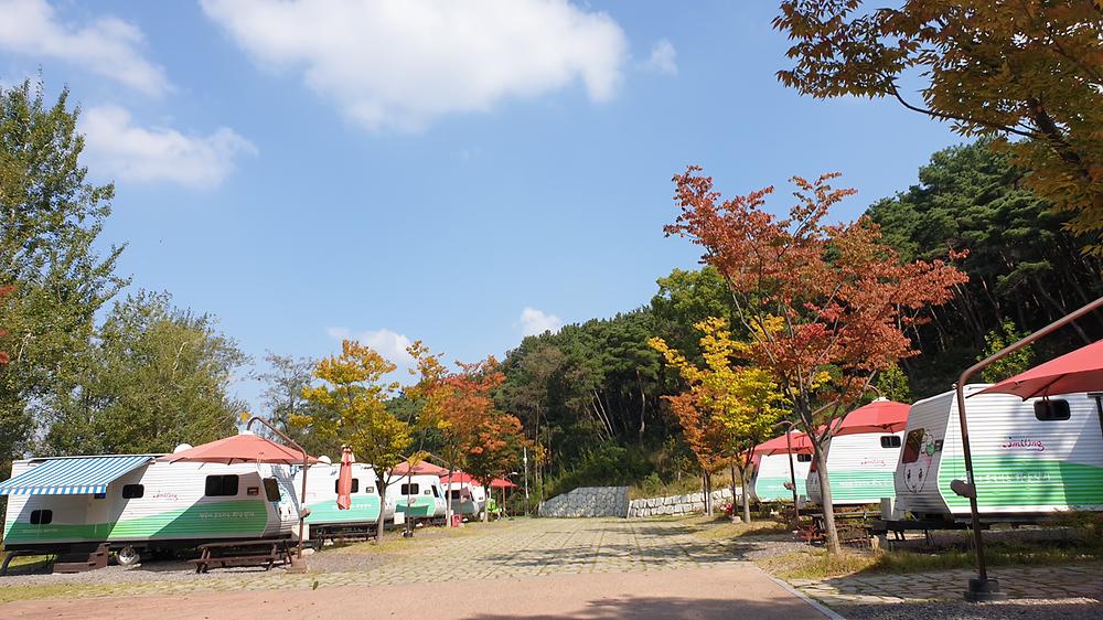달서별빛캠프 캠핑장