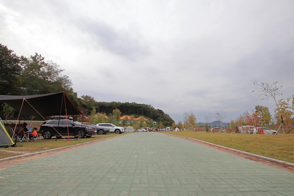 스칸디캠프팜