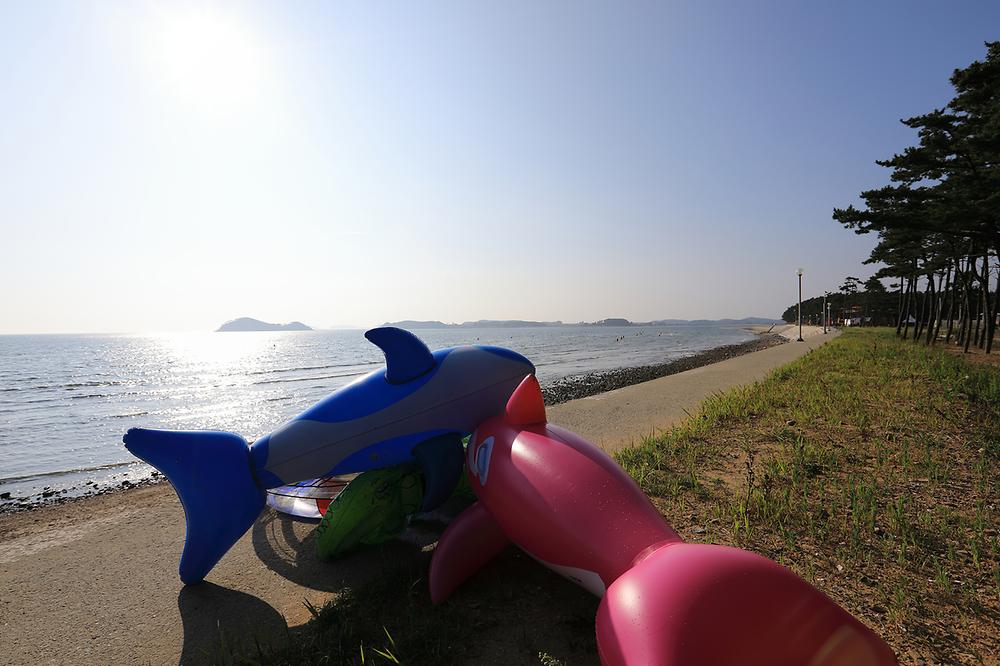 백사장사계절 숲속야영장