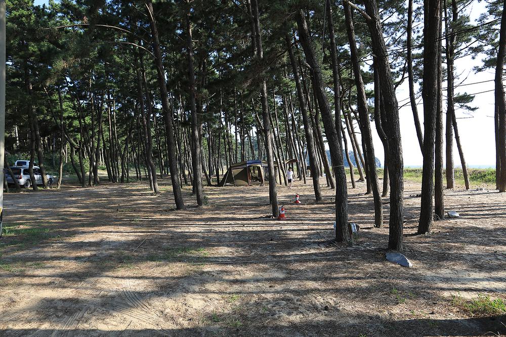 백사장사계절 숲속야영장