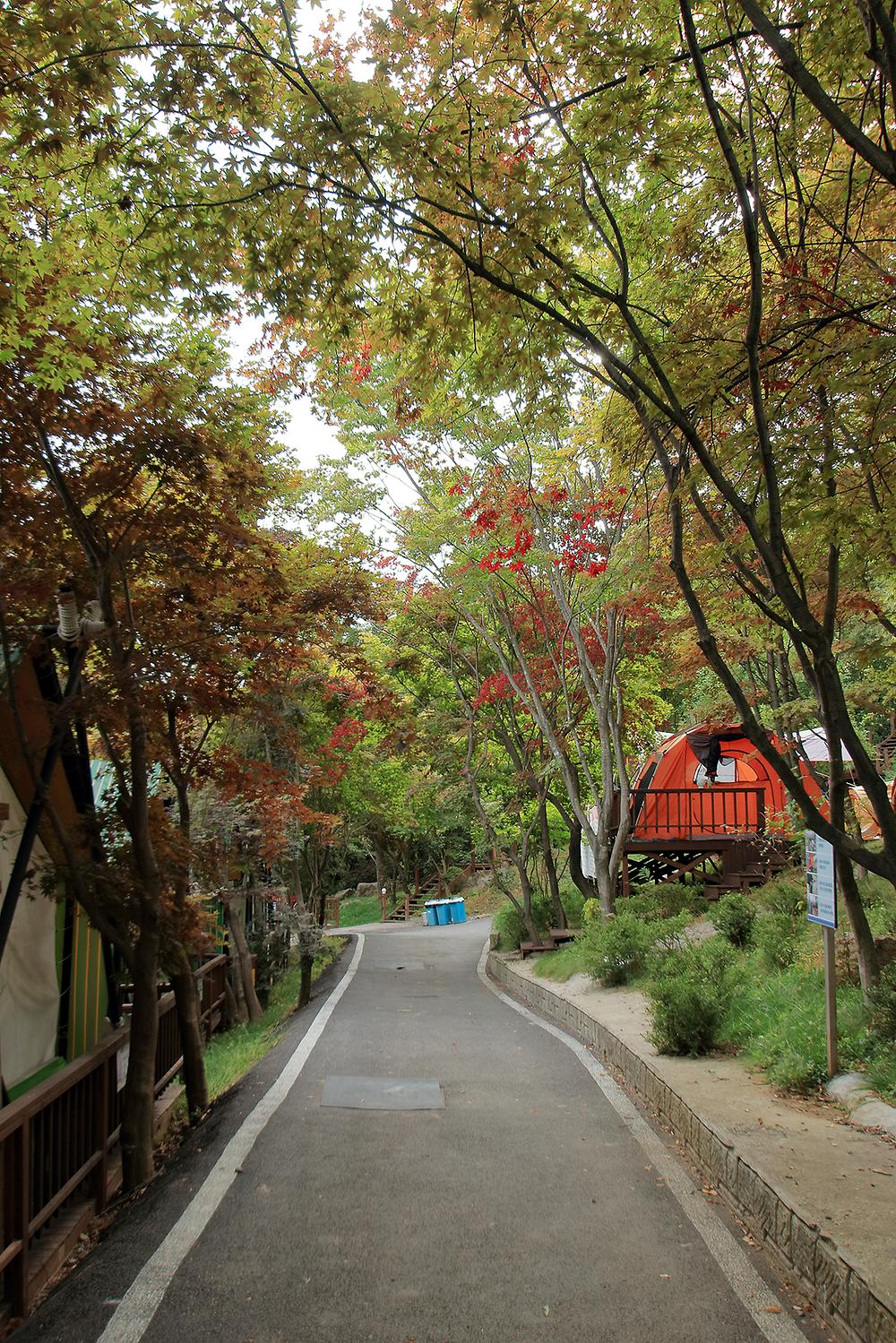 벨라캠핑장