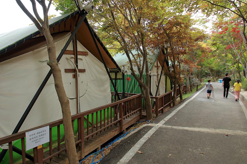 벨라캠핑장
